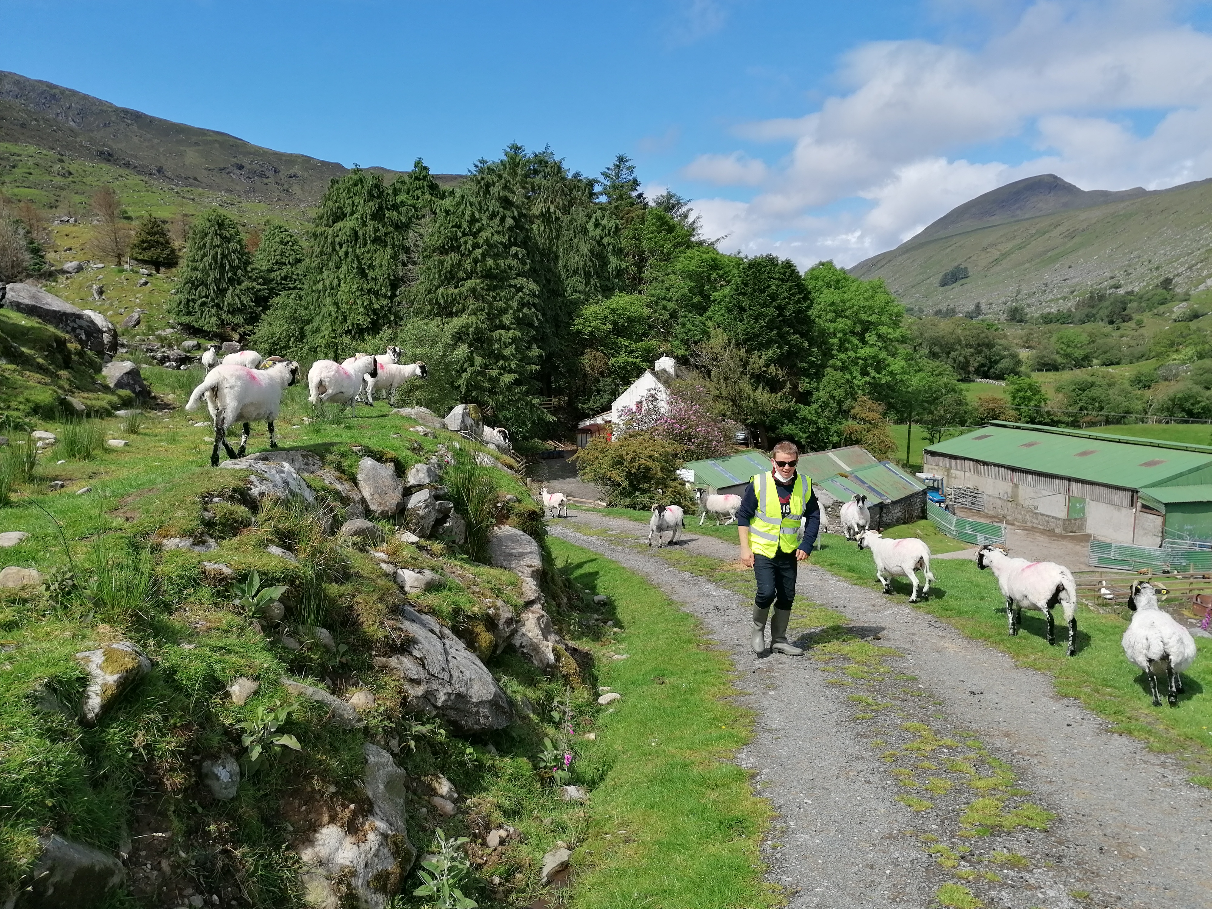 Kerry Social Farming