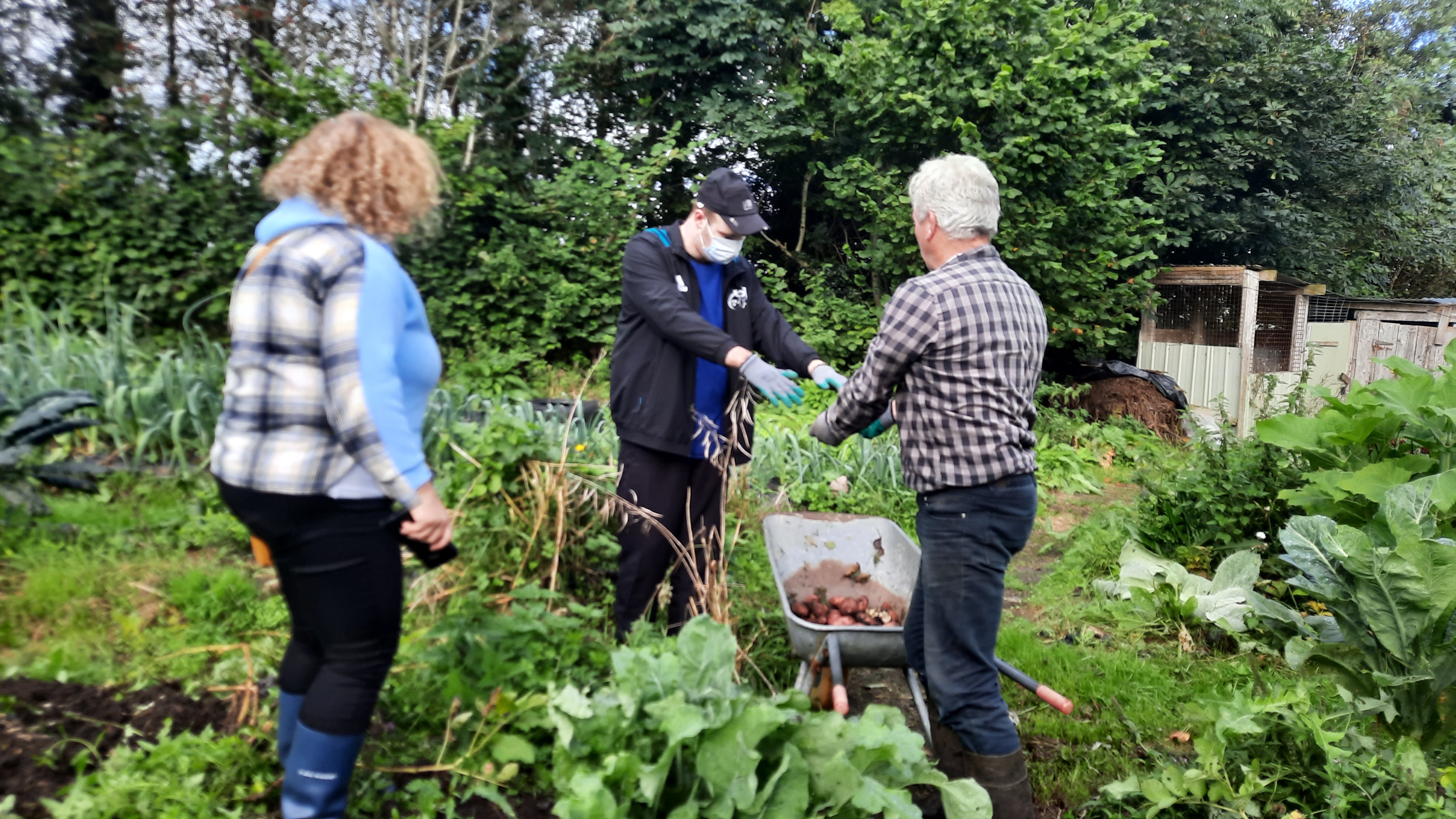 Kerry Social Farming