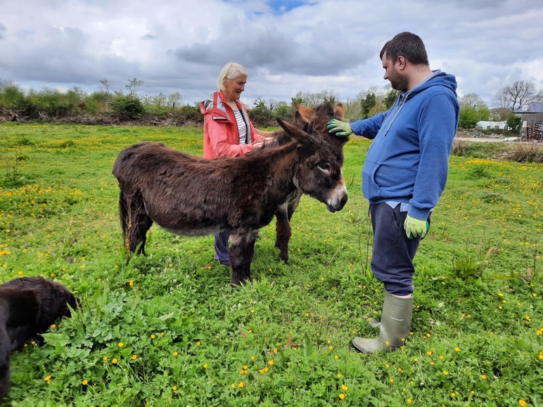 Kerry Social Farming