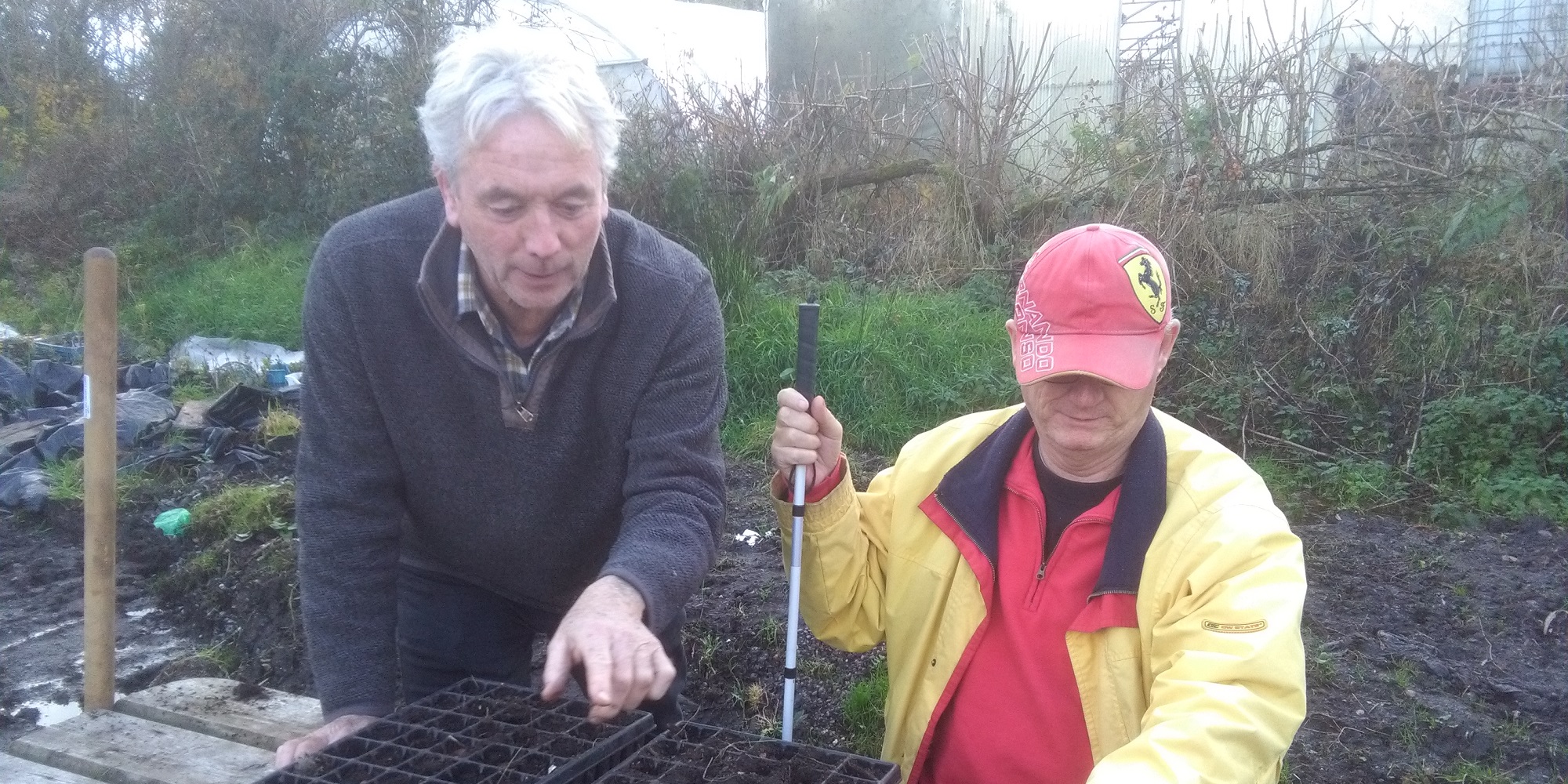 Kerry Social Farming