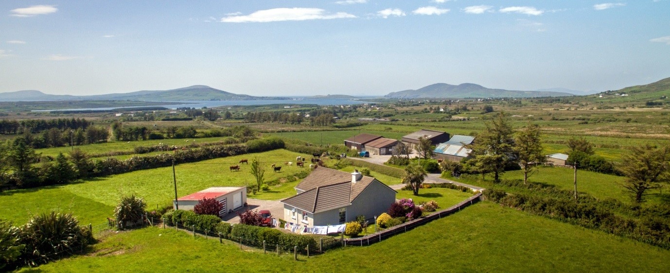 Kerry Social Farming