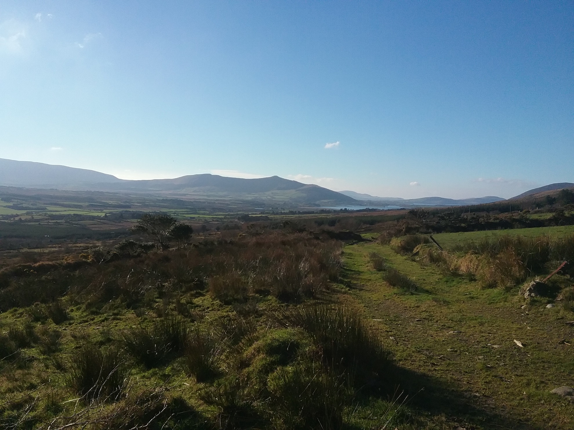 Kerry Social Farming