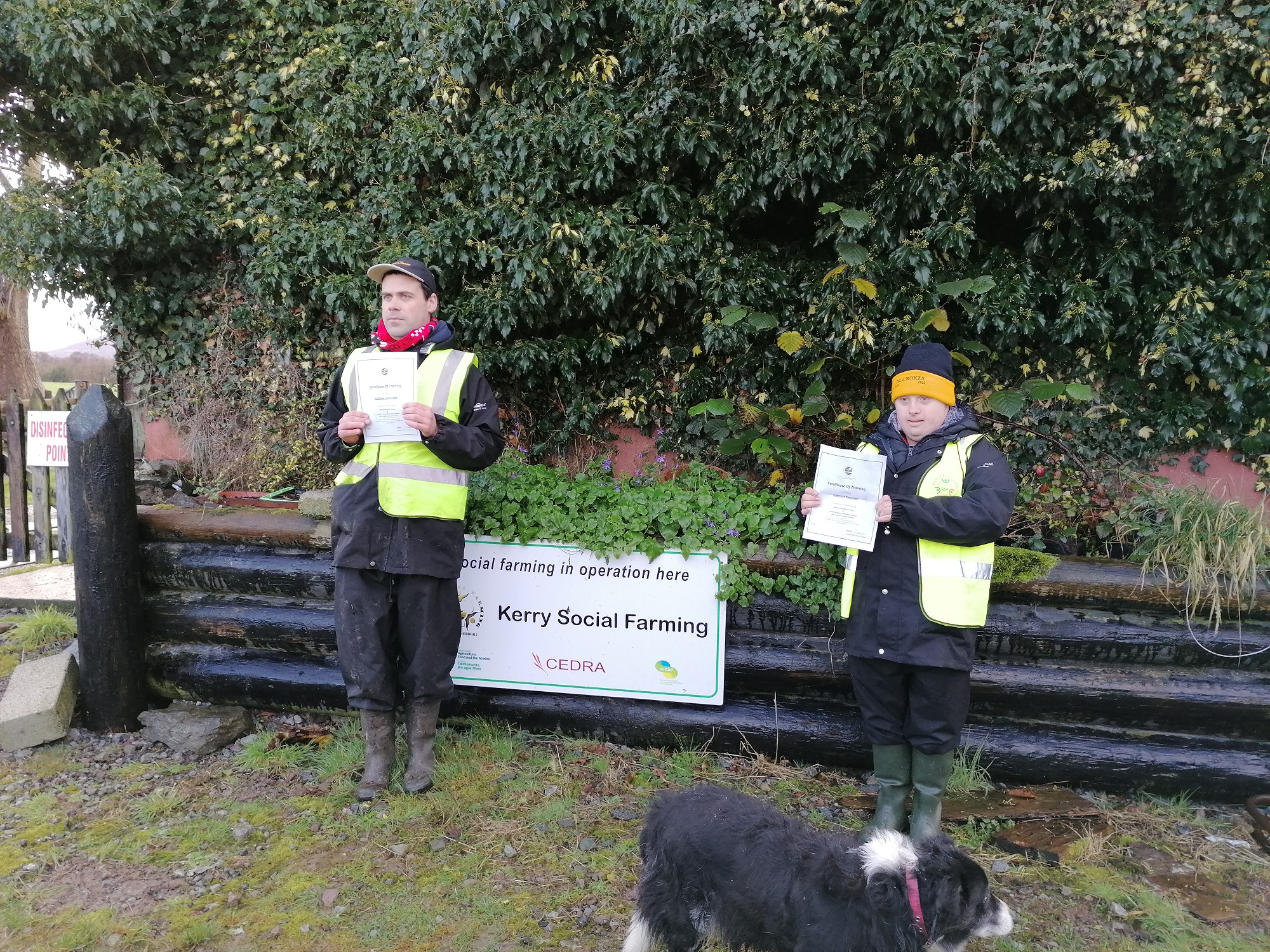 Kerry Social Farming